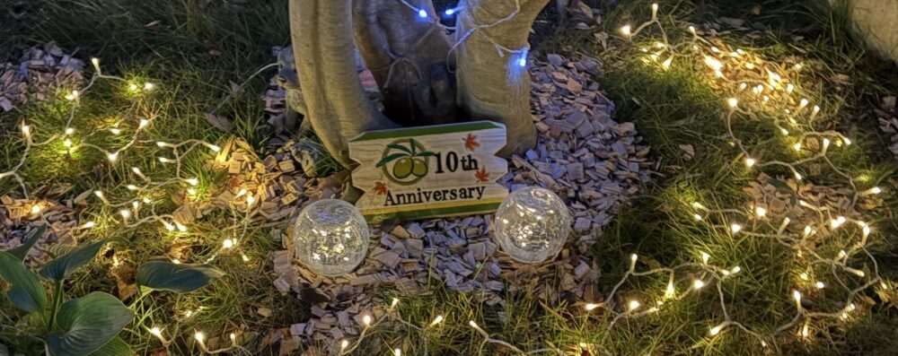 イルミネーション